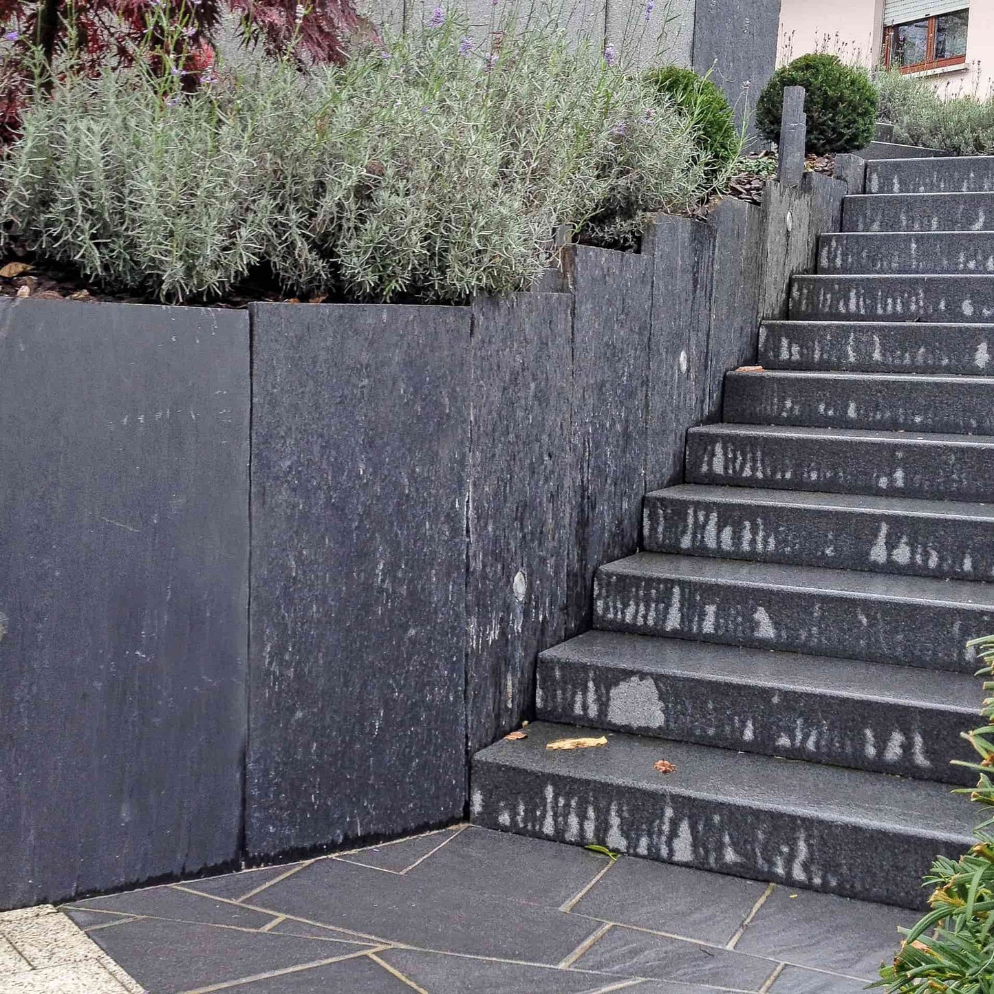 Brise vue en schiste BLACK SLATE AZUL bords bruts Minéral pierre naturelle