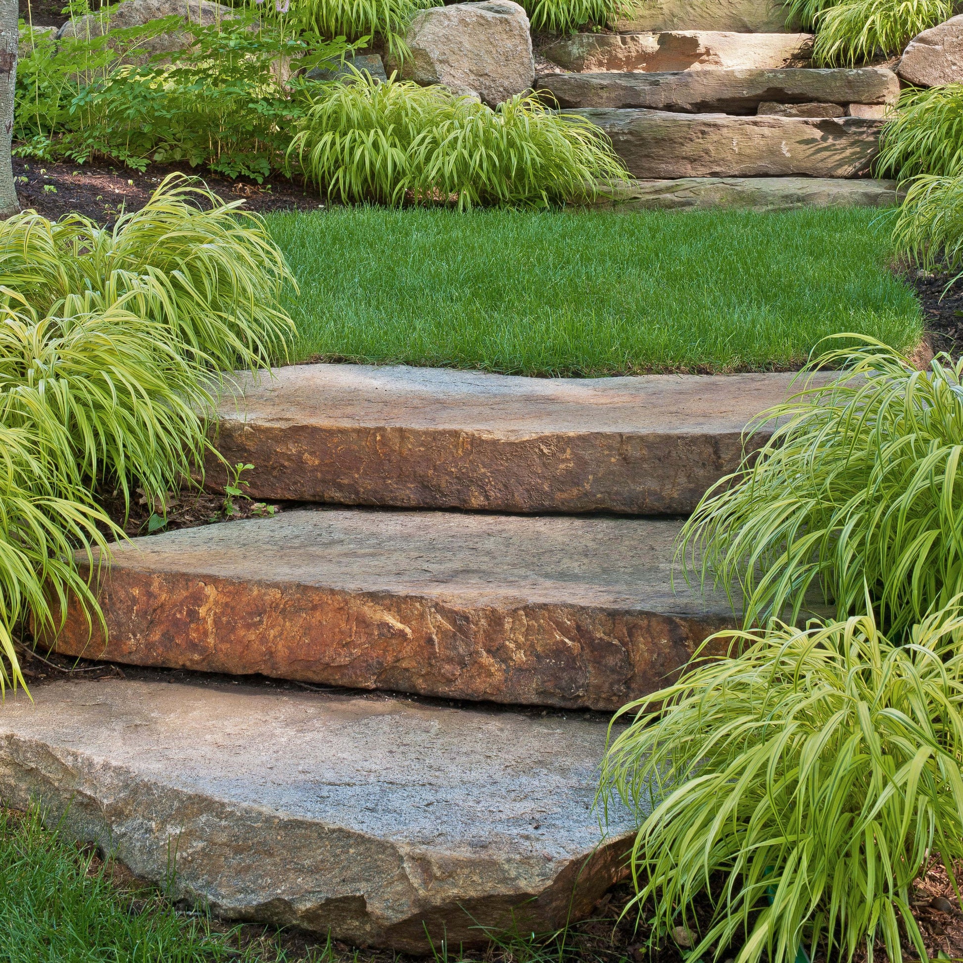 Marche naturelle en SCHISTE COLORE DES ARDENNES - Minéral Pierre Naturelle