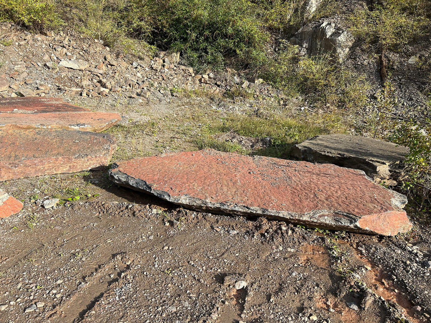 Marche naturelle en SCHISTE COLORE DES ARDENNES - Minéral Pierre Naturelle