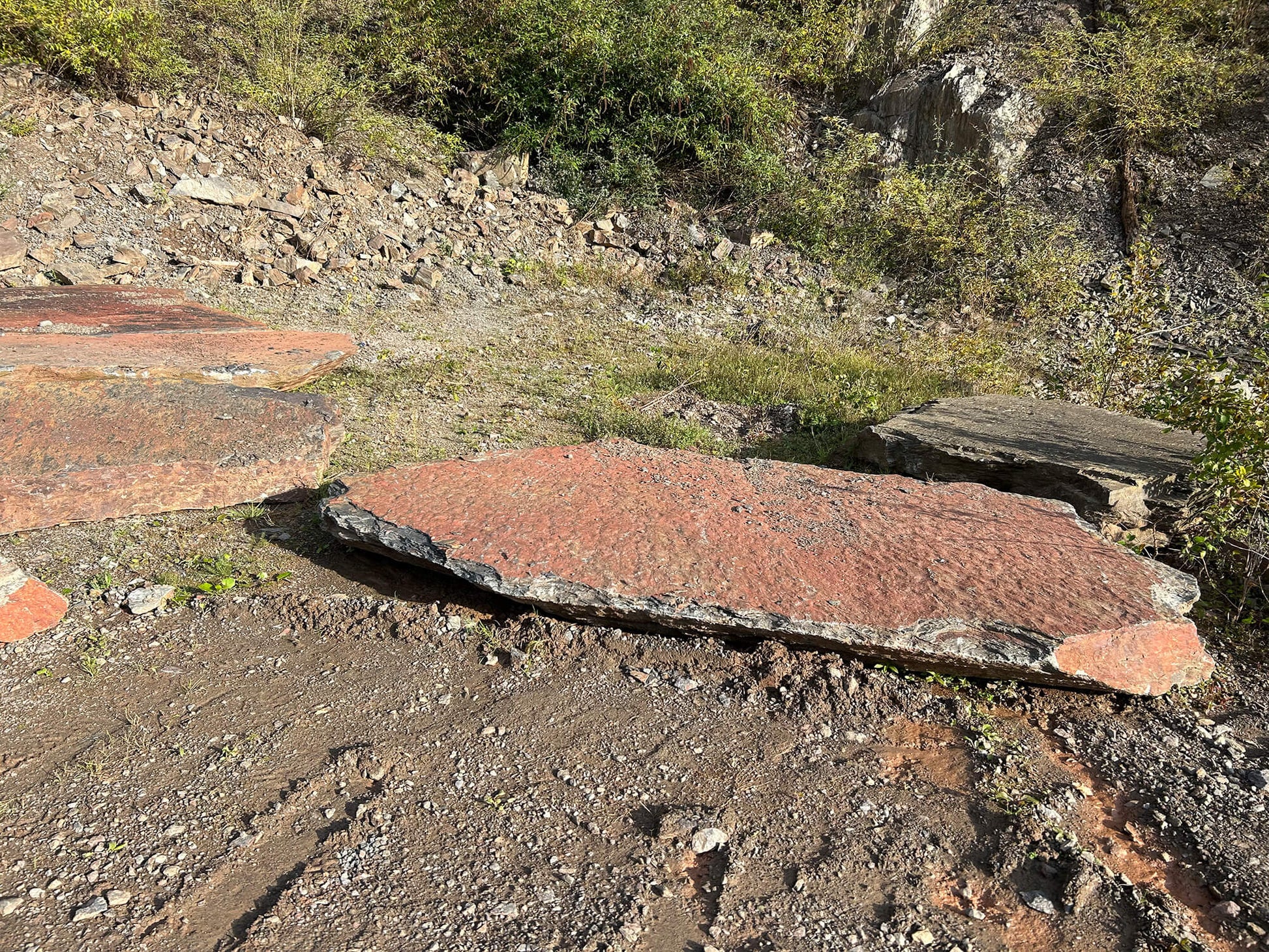 Marche naturelle en SCHISTE COLORE DES ARDENNES - Minéral Pierre Naturelle