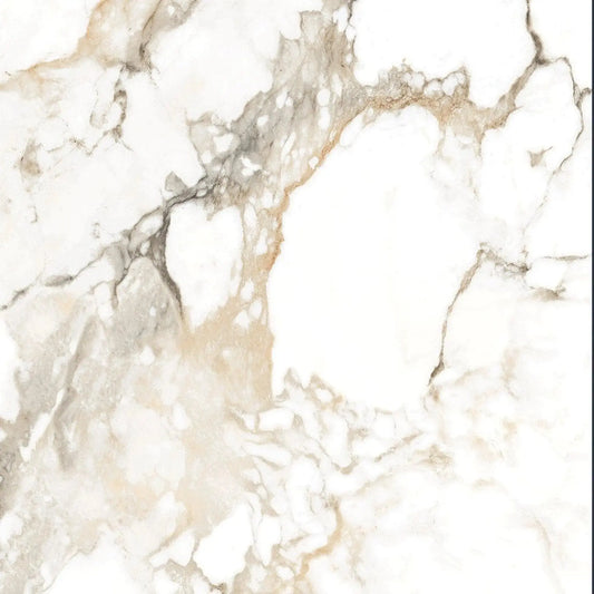 Carrelage effet marbre HOLLAND ICE - 80 x 80 cm