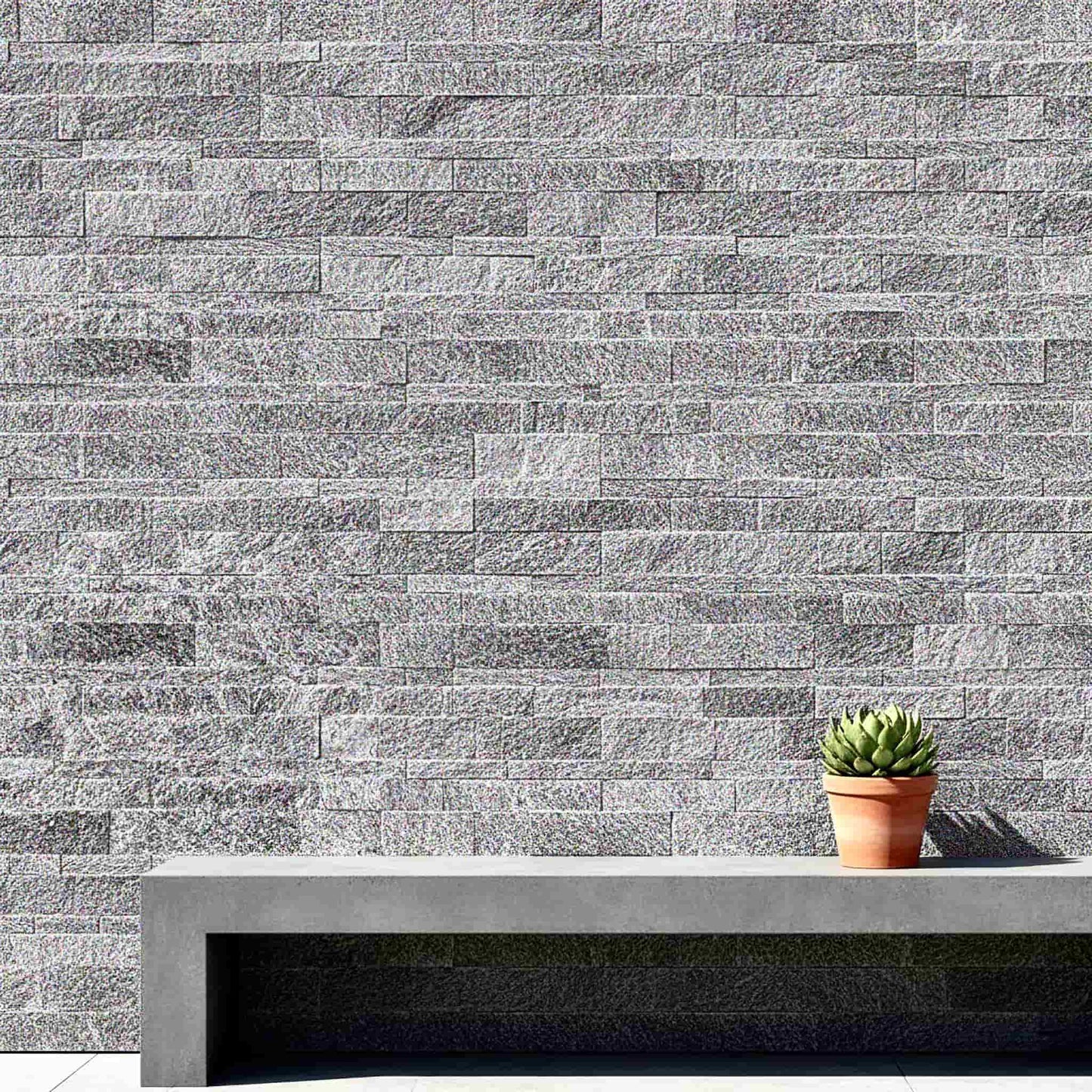 Parement en Gneiss ALPINA WHITE Brut