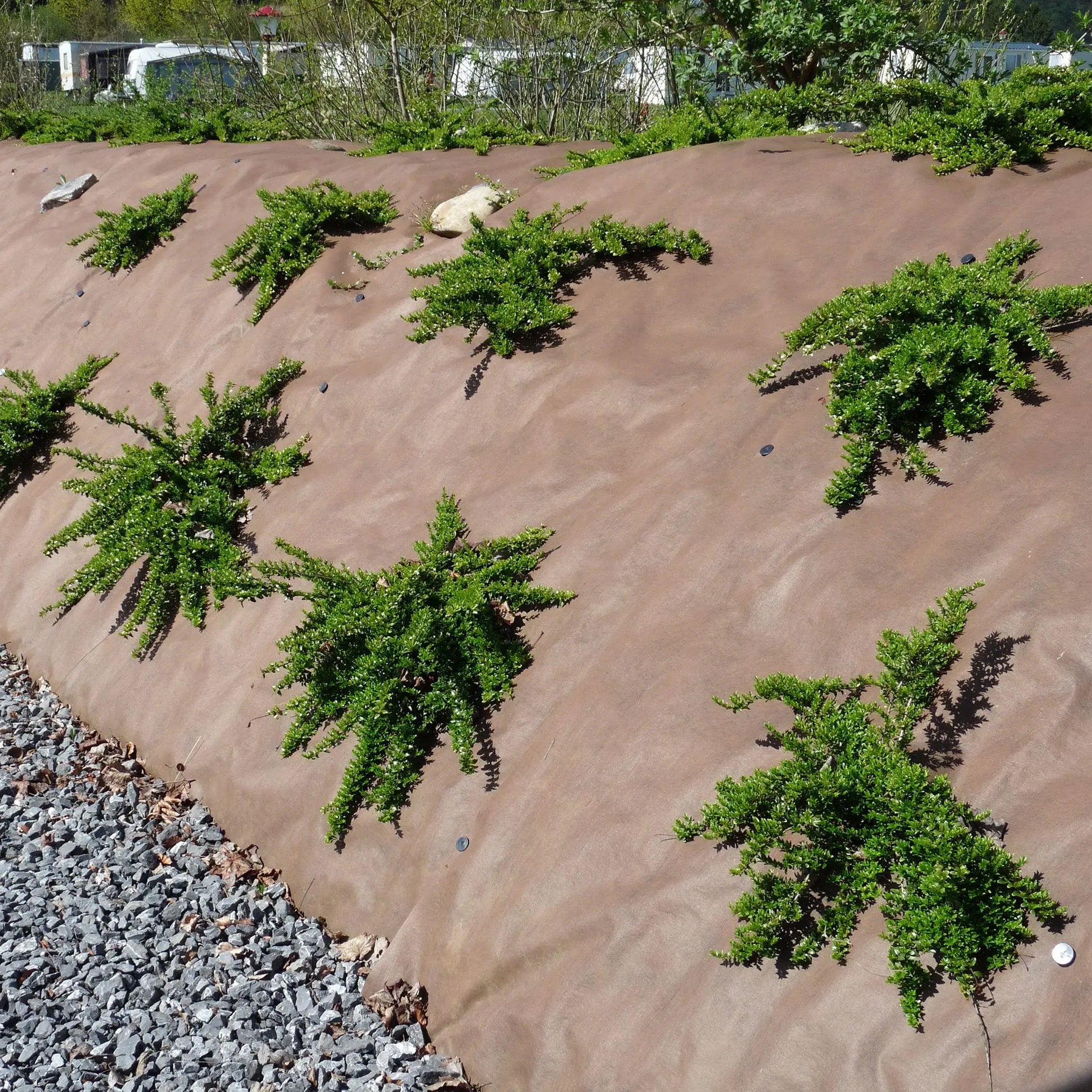 Rouleau de feutre géotextile Plantex Gold - Minéral Pierre Naturelle