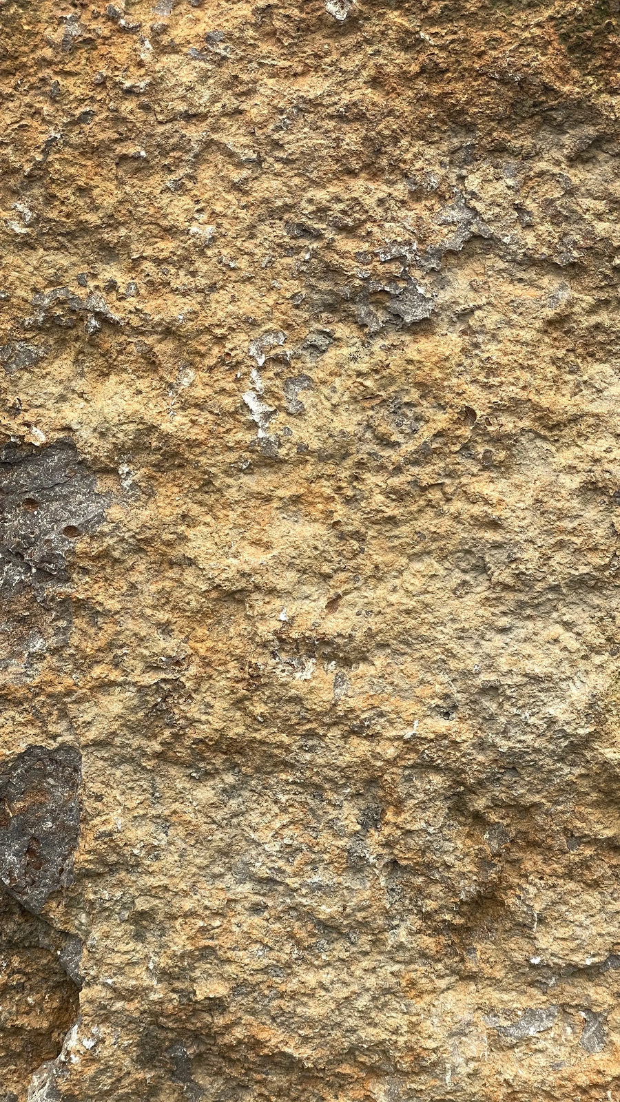 Calcaire KIRCHHEIMER
