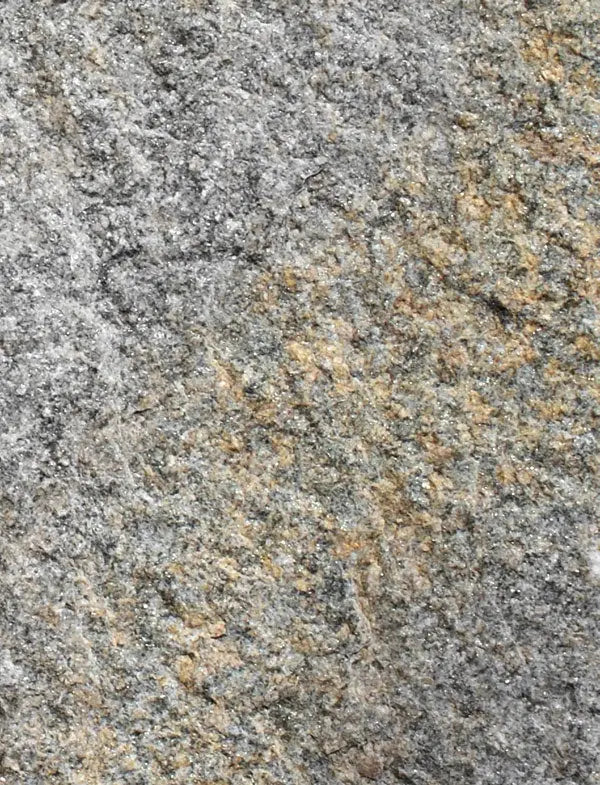 Gneiss LUZERNE
