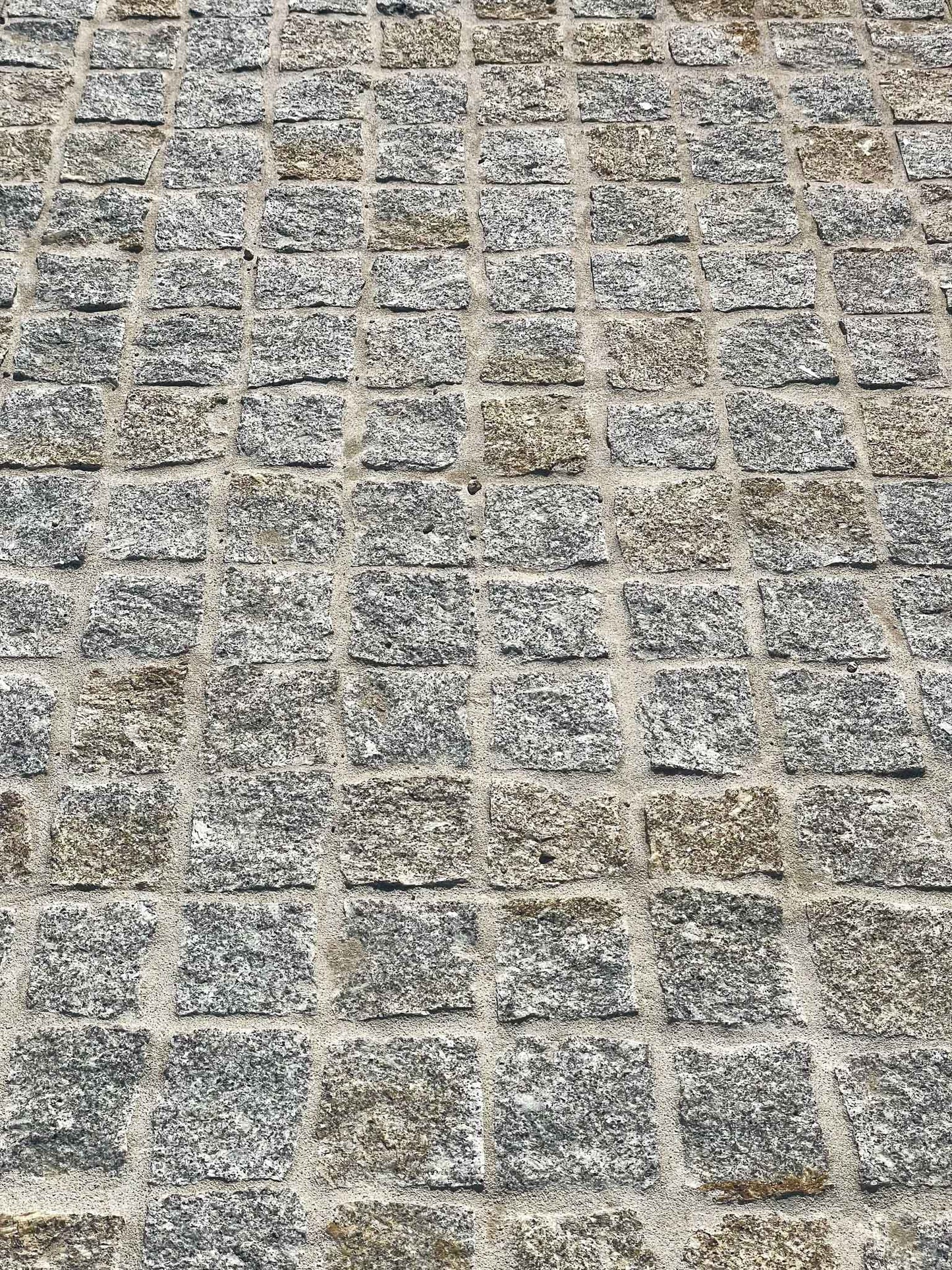 Pavé en GRANIT MIX gris jaune