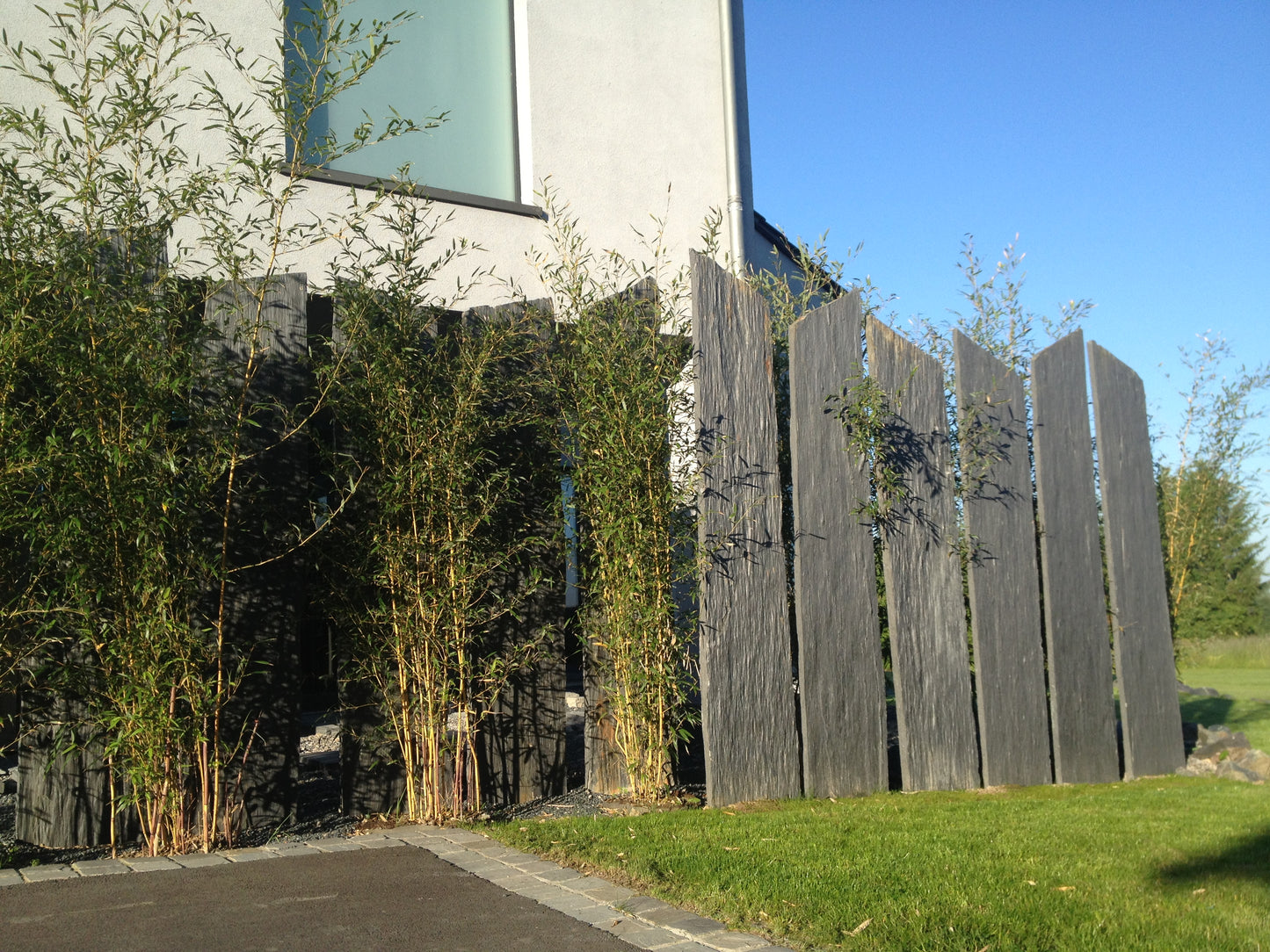 Brise vue en schiste BLACK SLATE AZUL bords bruts