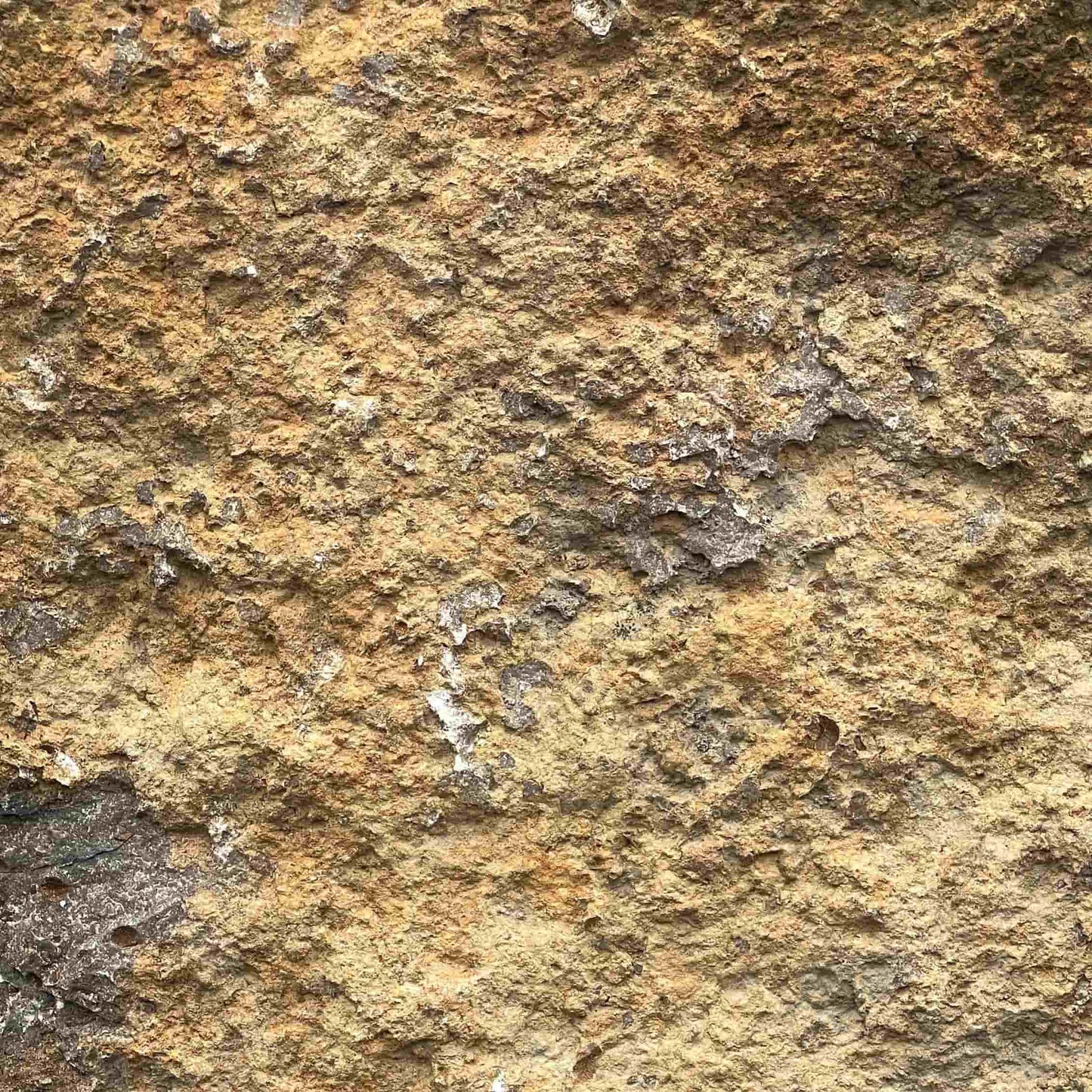 Croûte en pierre calcaire KIRCHHEIMER