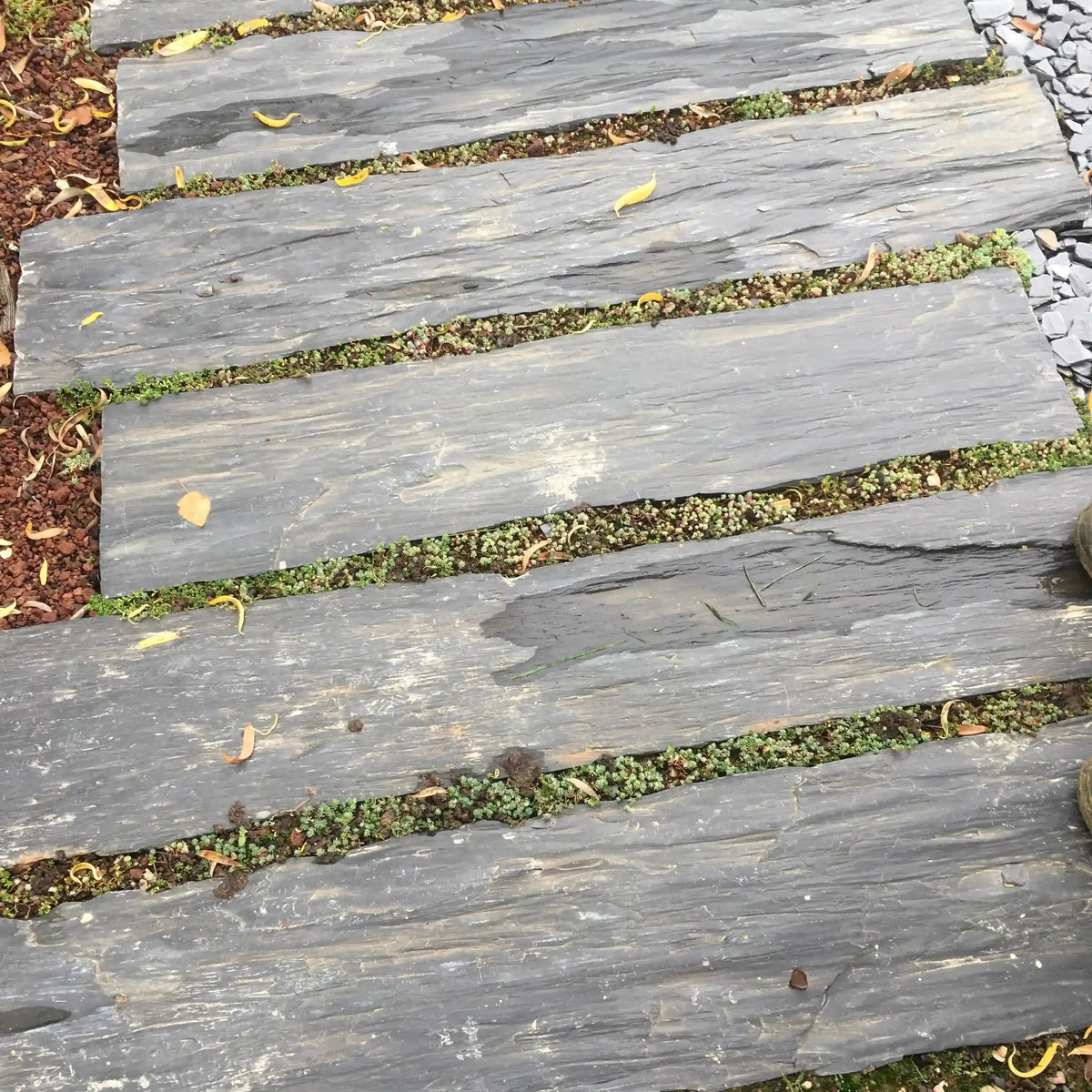 Pas japonais en schiste BLACK SLATE AZUL Minéral pierre naturelle