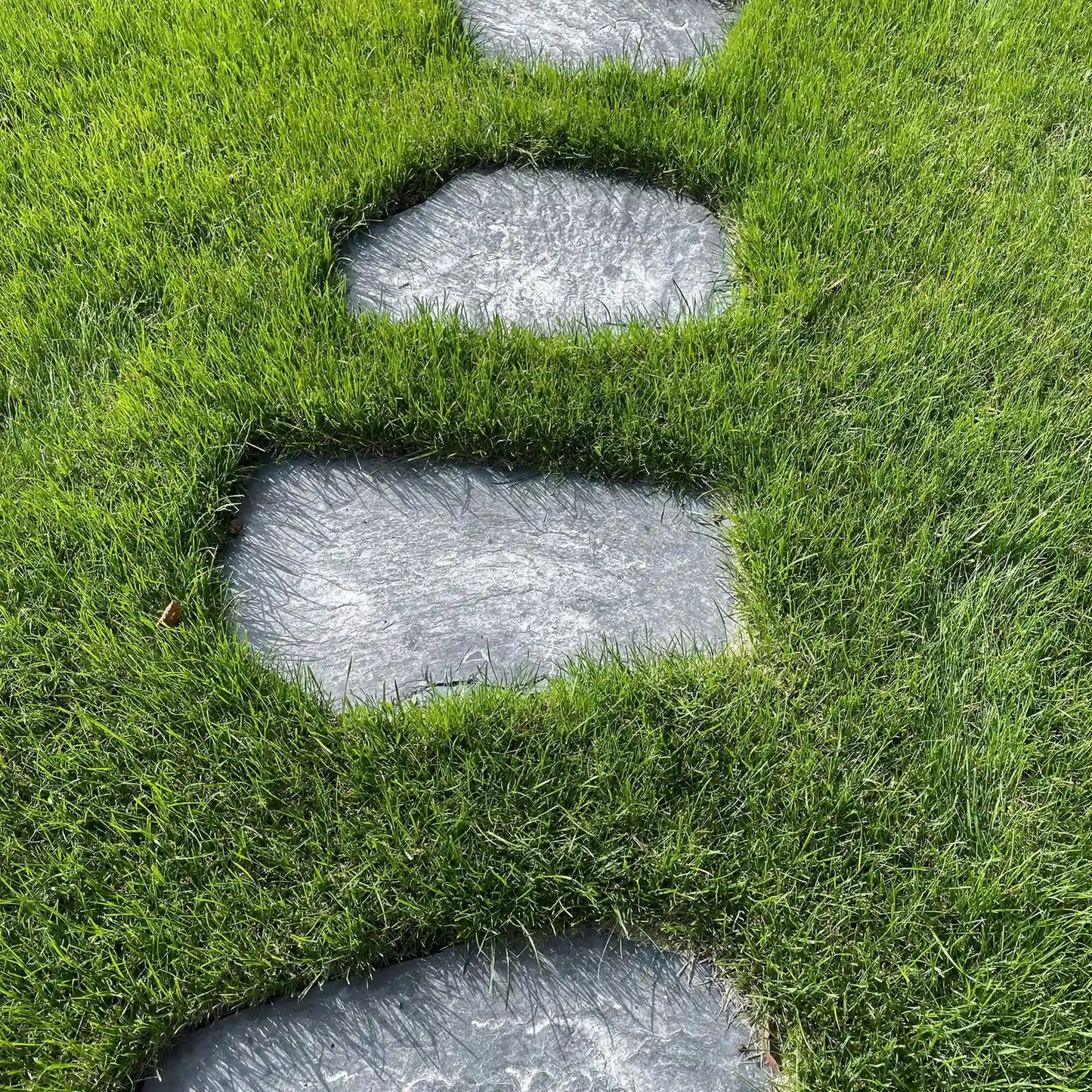 Pas japonais irrégulier en ARDOISE