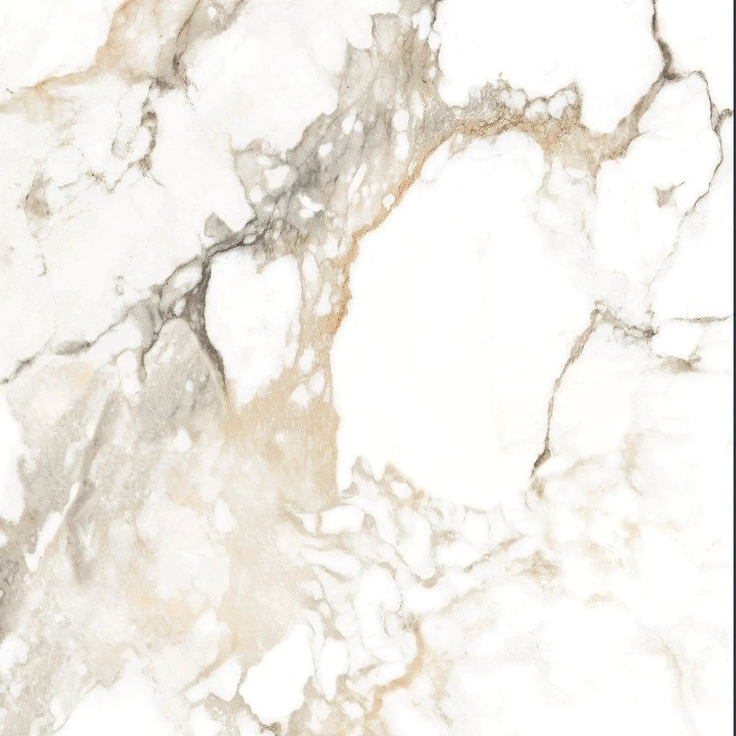 Carrelage effet marbre HOLLAND ICE  - 80 x 80 cm