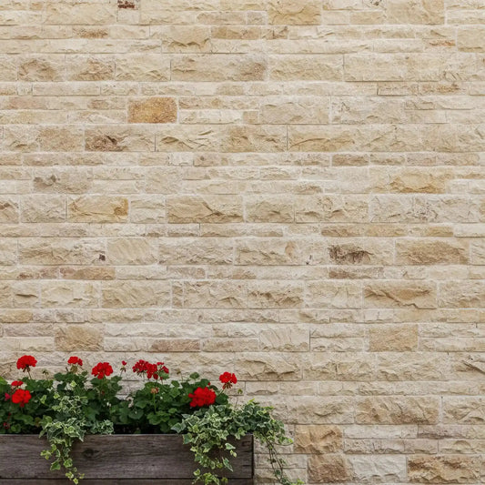 Parement en PIERRE CALCAIRE brut Minéral pierre naturelle