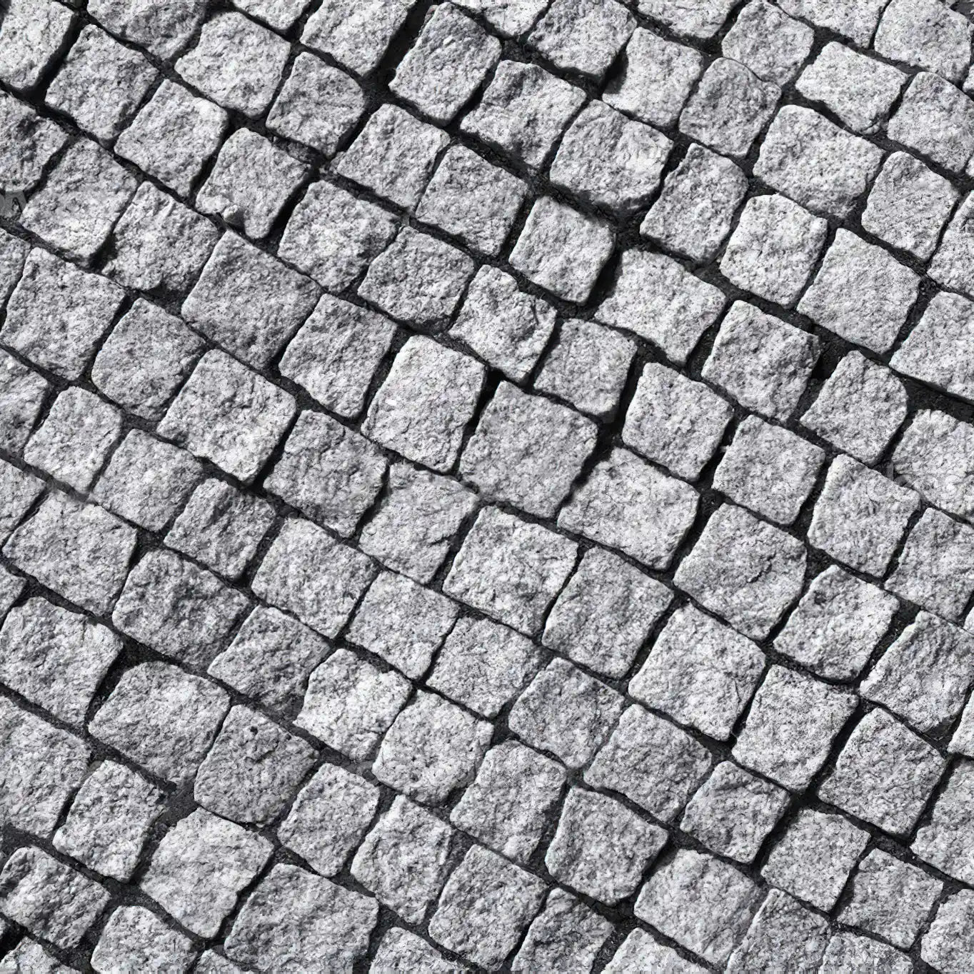 Pavé en granit SILVERSAND Minéral pierre naturelle