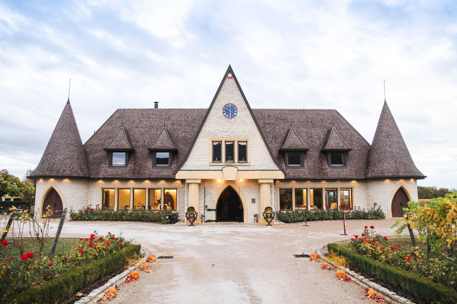 vignobles & cave à vin