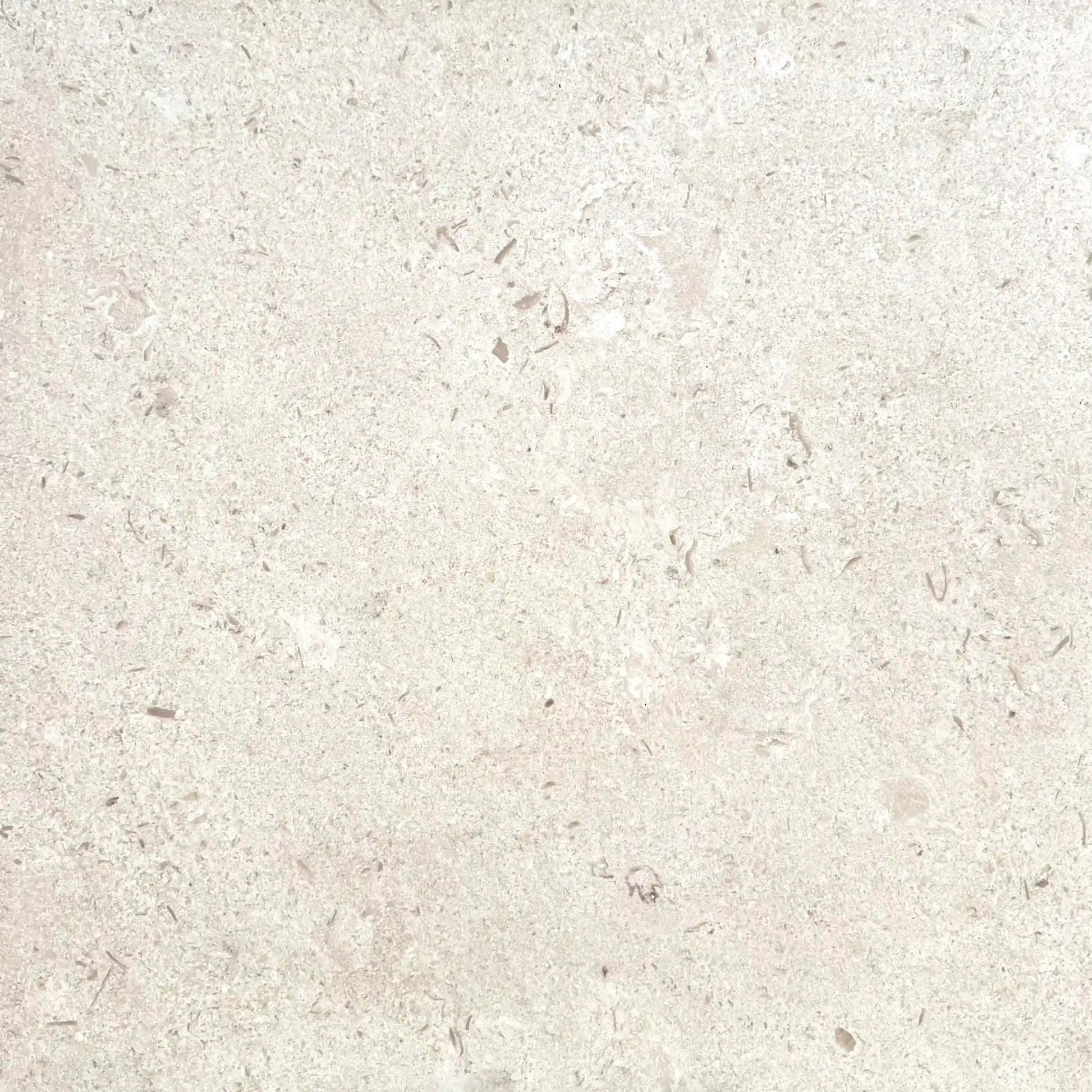 Carrelage extérieur effet pierre SHELLSTONE  - 60 x 60 x 2 cm Minéral pierre naturelle