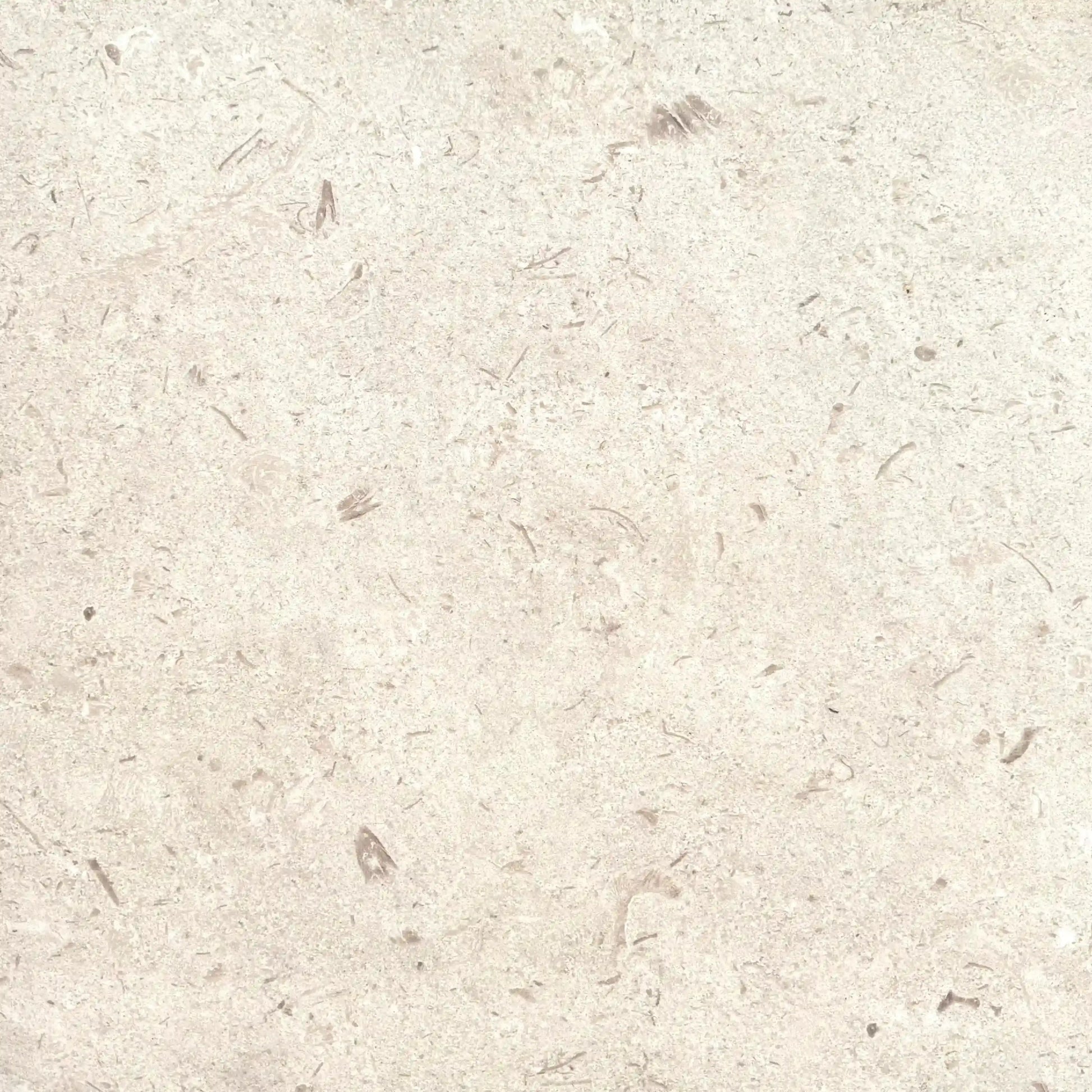 Carrelage extérieur effet pierre SHELLSTONE  - 60 x 60 x 2 cm Minéral pierre naturelle