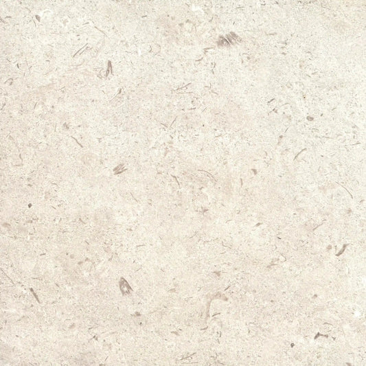 Carrelage extérieur effet pierre SHELLSTONE  - 60 x 60 x 2 cm Minéral pierre naturelle